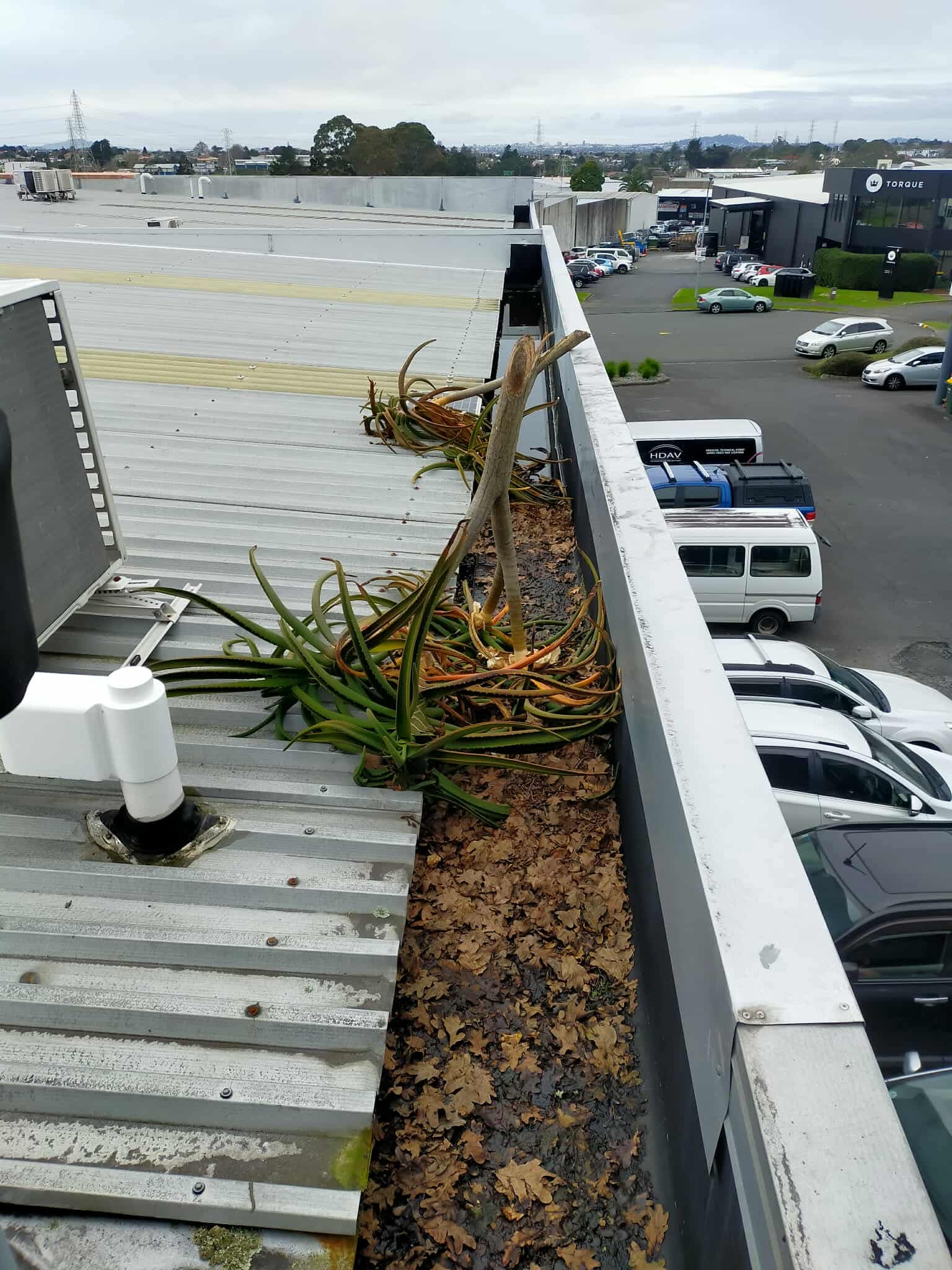 Blocked commercial gutter